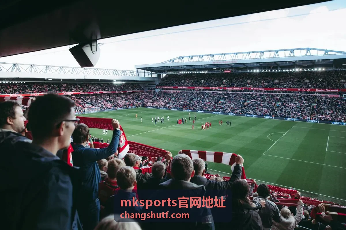mksports官网地址打开页面后重点查看区域示意