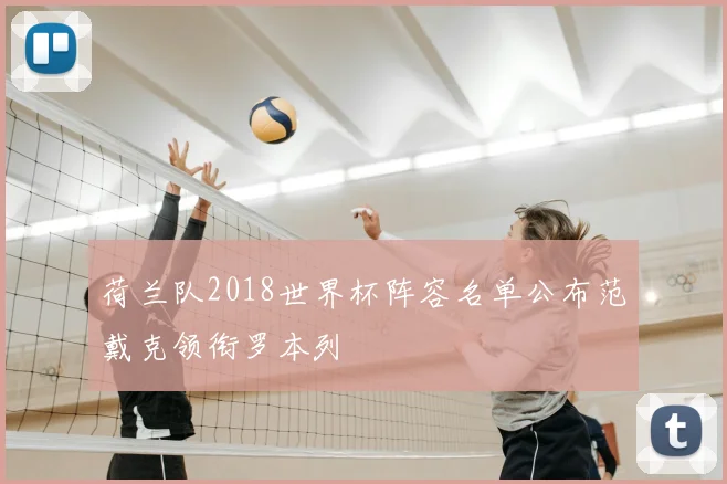 荷兰队2018世界杯阵容名单公布范戴克领衔罗本列