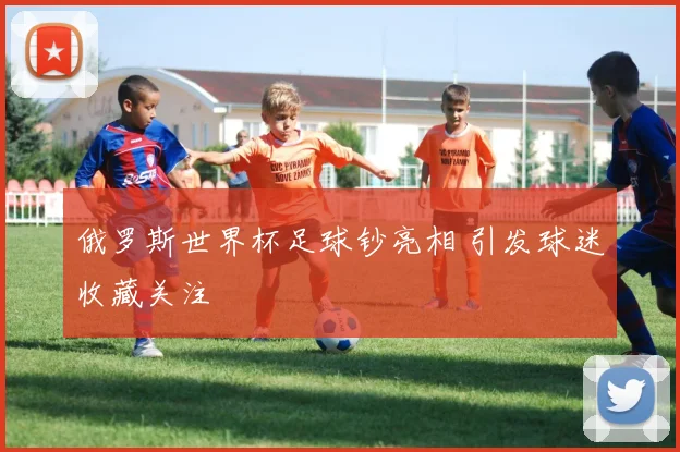 俄罗斯世界杯足球钞亮相 引发球迷收藏关注